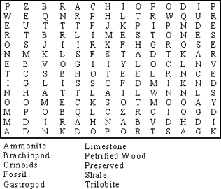 Fossil Word Search